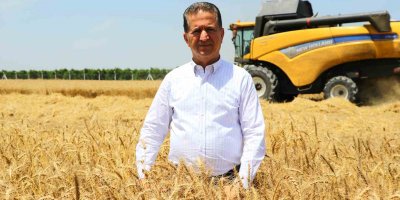 Rekolte yüksek olacak, stratejik ürün buğdayda hasat başladı