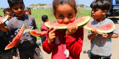 Tescilli Adana karpuzunda hasat başladı