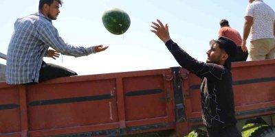 İşçilerin zorlu mesaisi: Adana sıcağında her gün 150 ton karpuz yüklüyorlar