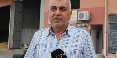 Sulama projesi ve yağışlar ayçiçeği üreticisinin yüzünü güldürdü