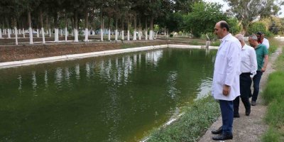 Tekin: Hedef 20 milyon sazan üretmek