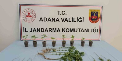 Adana'da uyuşturucu operasyonu: 7 şüpheli yakalandı