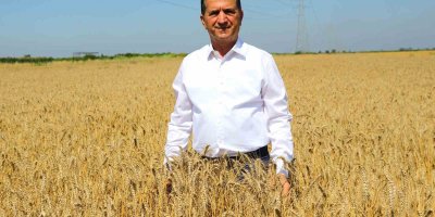 Cumhurbaşkanı Erdoğan’ın buğday fiyatı açıklaması Adanalı üreticileri sevindirdi