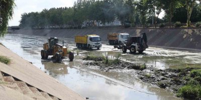 Yüreğir Belediyesi, Sarıçam Deresi'ni temizliyor