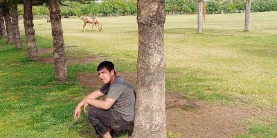 Sahibini düşüren atın parkta başıboş dolaşması vatandaşları tedirgin etti