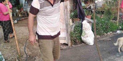 Eve giren yılanı eliyle yakaladı