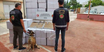 Adana’da 1 milyon 125 bin kaçak makaron ele geçirildi