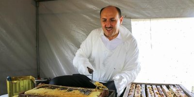Adana’dan bal hasadı başladı