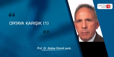 Ortaya Karışık (1)