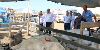Bayram öncesi Adana’ya 30 bin hayvan getirildi