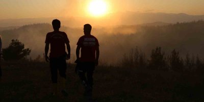 Adana’daki orman yangını kontrol altına alındı