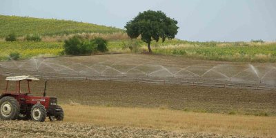 Suya kavuşan topraklarda üreticinin yüzü güldü