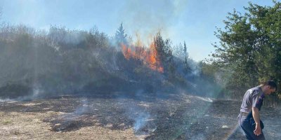 Anız yangını ormana sıçradı, 3 dönüm makilik alan zarar gördü