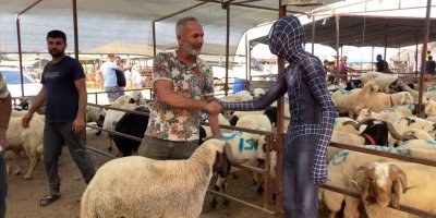 ’Örümcek Adam’ kurban pazarında