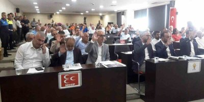 Adana Büyükşehir Belediye Meclisinde gündem: Sivrisinek