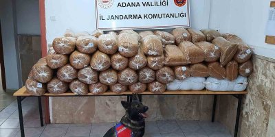 Adana’da jandarma son 3 ayda 2 bin 401 aranan şahsı yakaladı