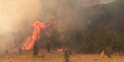 Adana’da iki farklı ilçede arka arkaya orman yangını: Ekipler müdahaleye başladı