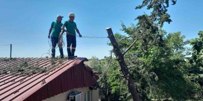 Ağaç lojmanın üzerine devrildi, ekipler kaldırdı
