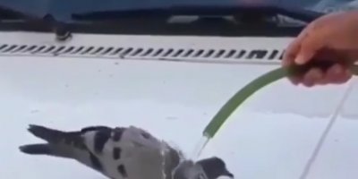 Termometreler 48 dereceyi gösterdi