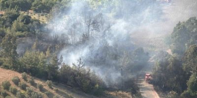 Ceyhan’da orman yangını