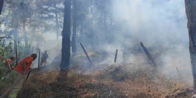 Adana Kozan’da orman yangını, ekipler kontrol altına aldı