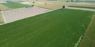 Otomasyon sulama sistemi ile devlet destekli soya üretimine başlandı