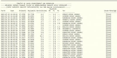Adana’da 29 artçı sarsıntı yaşandı