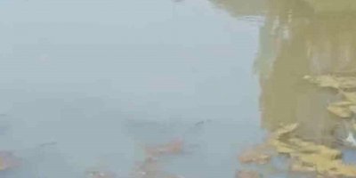 5 köyün su kaynağı depremden sonra kurudu