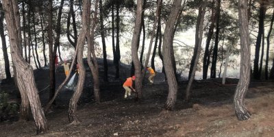 Kozan'da yangın söndürüldü, vatandaş piknikçilere tepki gösterdi