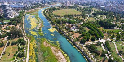 Seyhan Nehri can çekişiyor: Yosunlar nehri istila etti, otlar insan boyuna yaklaştı