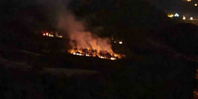 Adana’daki orman yangını kontrol altına alındı