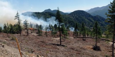 Adana Feke’deki orman yangını kontrol altına alındı