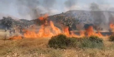 8 dönüm buğdayı hasat edemeden yandı