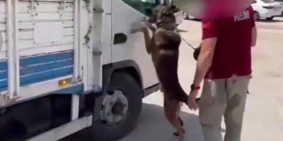 Kamyondan 6 kilo metamfetamin, 1 kilo kokain çıktı: 2 tutuklama