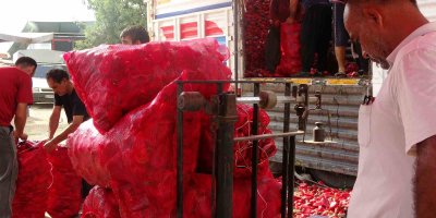 Adana'da geçen yıl 12 liradan satılan salçalık biber bu yıl 22 liradan satışa çıktı