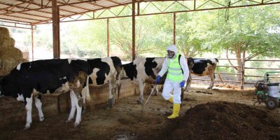 Yüreğir Belediyesi, kırsal mahallelerde vektörle mücadele çalışması başlattı