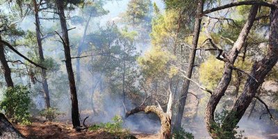 Feke’deki orman yangını kontrol altına alındı