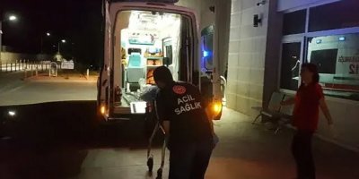 Adana'da ev sahibi kiracı anne-oğlu bıçakladı, köpeklerini öldürdü!