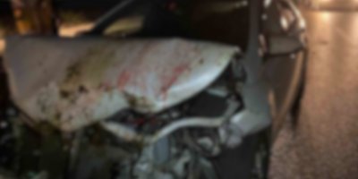 Adana’da otomobil koyun sürüsüne çarptı: 100 koyun telef oldu