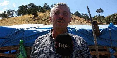 Feke göçerleri: "20 bin lira maaşla çoban bulamıyoruz"