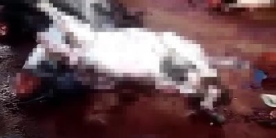 Adana Valiliğinden kesilen 12 eşek ile 6 ata ilişkin açıklama