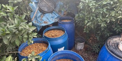 Adana’da sahte içki operasyonu