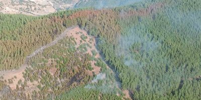 Adana’daki orman yangını kontrol altına alındı