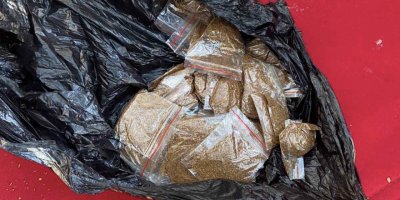 Asma sundurması içinde bonzai ticareti