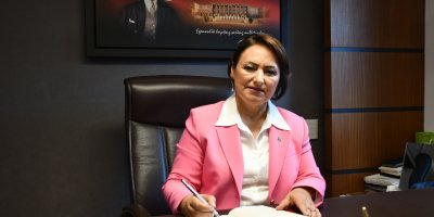 CHP'li Şevkin'den koşulsuz doğum borçlanması için kanun teklifi