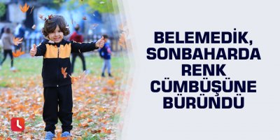 Belemedik, sonbaharda renk cümbüşüne büründü