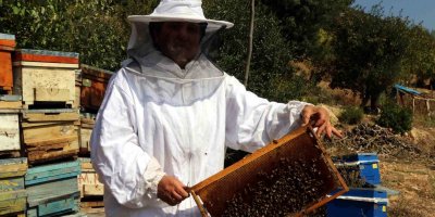 Kadın girişimci devletten önce eğitim, sonra da kredi alarak arıcılığa başladı