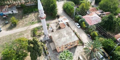 Cami avlusundaki hurmalar toplandı