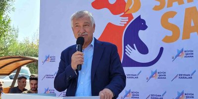 Sokak hayvanları için ‘Kısırlaştırma Merkezi’ açıldı