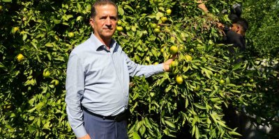 Narenciyede işçi sıkıntısı